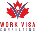 logo visa